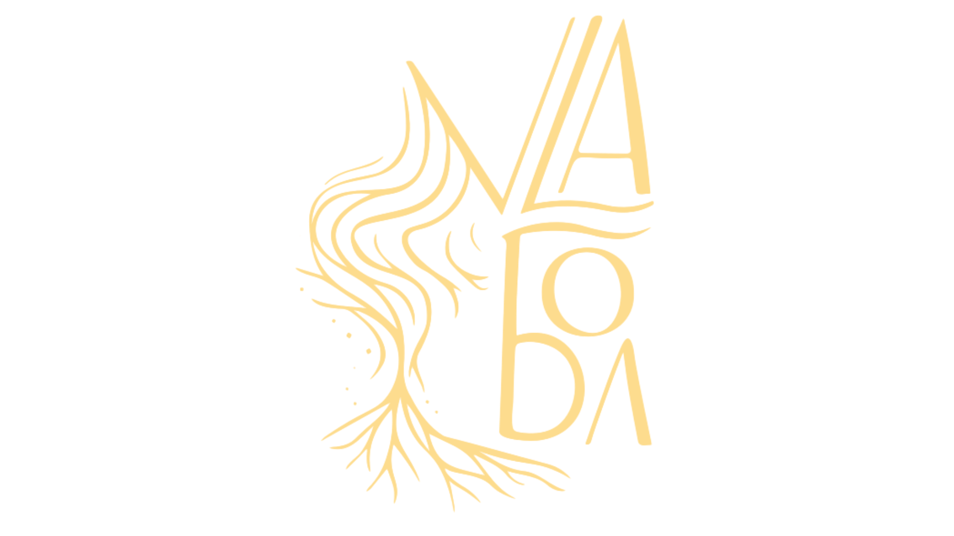 VLA Logo